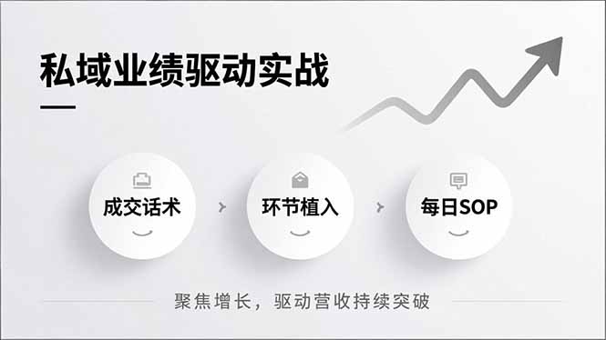 私域业绩驱动实战,成交话术、环节植入、每日SOP,聚焦增长,驱动营收持续突破-青年网赚