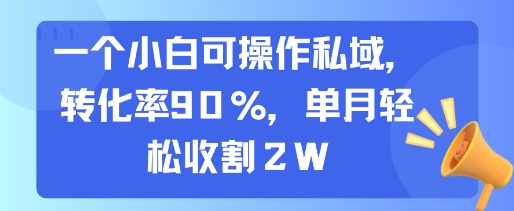 一个小白可操作私域，转化率90%，单月轻松收割2W-青年网赚