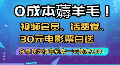 0成本薅羊毛!视频会员、话费卷、30元电影票白送，分享我如何靠转卖一天变现5张+【揭秘】-青年网赚