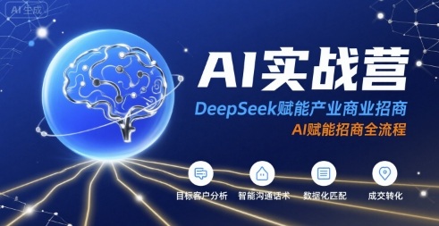 AI实战营：DeepSeek赋能产业商业招商，AI赋能招商全流程-青年网赚