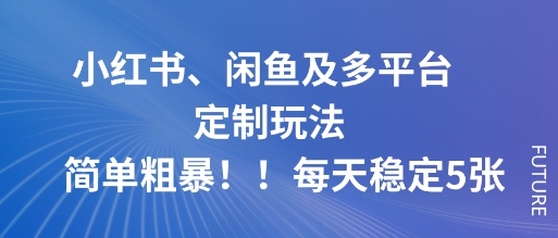 小红书、闲鱼及多平台定制玩法简单粗暴！每天稳定5张-青年网赚