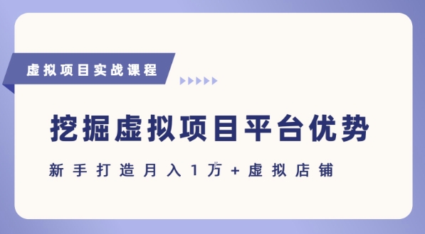 抓住虚拟项目各平台优势，新手轻松月入1W+(给出具体建议)-青年网赚