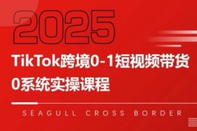 TikTok跨境0-1短视频带货，系统拆解TikTok跨境带货全链路，实现跨境可持续盈利-青年网赚