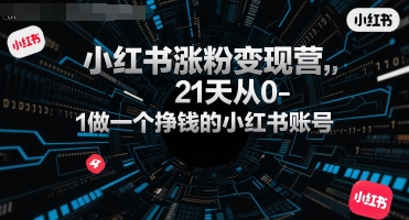 小红书涨粉变现营，21天从0-1做一个挣钱的小红书账号-青年网赚