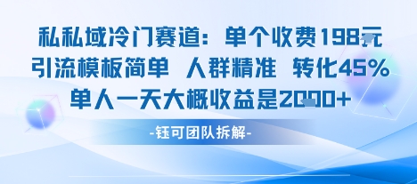 私域冷门赛道单个收费198米引流模板简单人群精准 45%的转化率单人一天大概收益多张-青年网赚