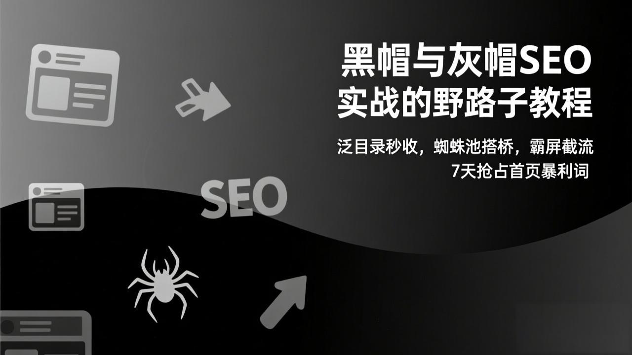 黑帽与灰帽SEO实战的野路子教程：泛目录秒收，蜘蛛池搭桥，霸屏截流，7天抢占首页暴利词-青年网赚