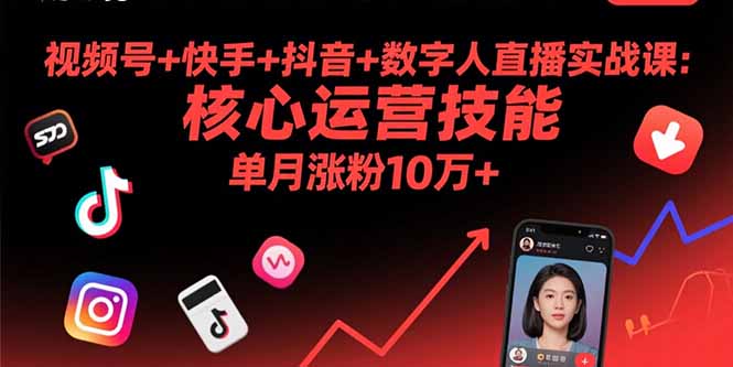 视频号+快手+抖音+数字人直播实战课(9月-青年网赚