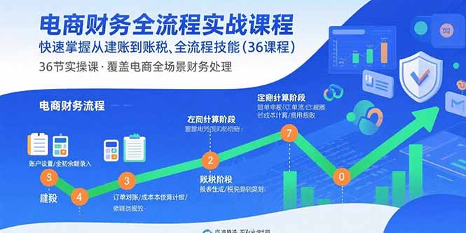 电商财务全流程实战课程：快速掌握从建账到报税的全流程技能(36节课-青年网赚