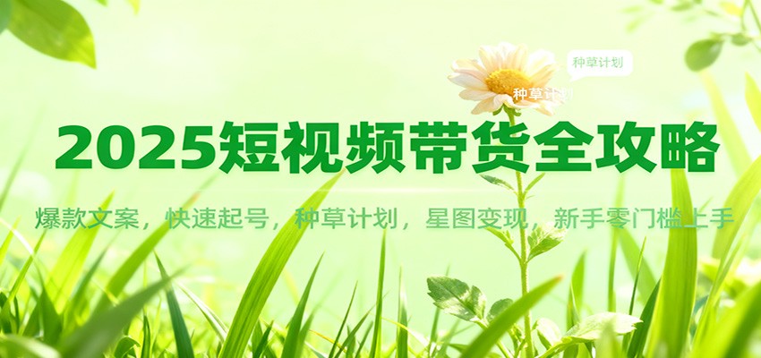 2025短视频带货全攻略：爆款文案，快速起号，种草计划，星图变现，新手零门槛上手-青年网赚
