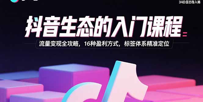 抖音生态的入门课程：流量变现全攻略，16种盈利方式，标签体系精准定位-青年网赚