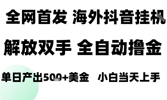 海外抖音无人直播，单日产出1.5k+，长期稳定，新手可玩，无脑操作【揭秘】-青年网赚
