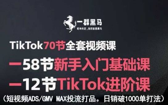 TikTok全套视频课，新手入门+进阶课，短视频ADS-GMV MAX投流打品，日销破1000单打法-青年网赚