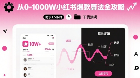 从0-1000W小红书爆款算法全攻略，时长1.5小时，干货满满-青年网赚