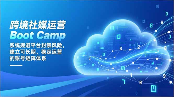 跨境社媒运营Boot Camp：系统规避平台封禁风险，建立可长期、稳定运营的账号矩阵体系-青年网赚