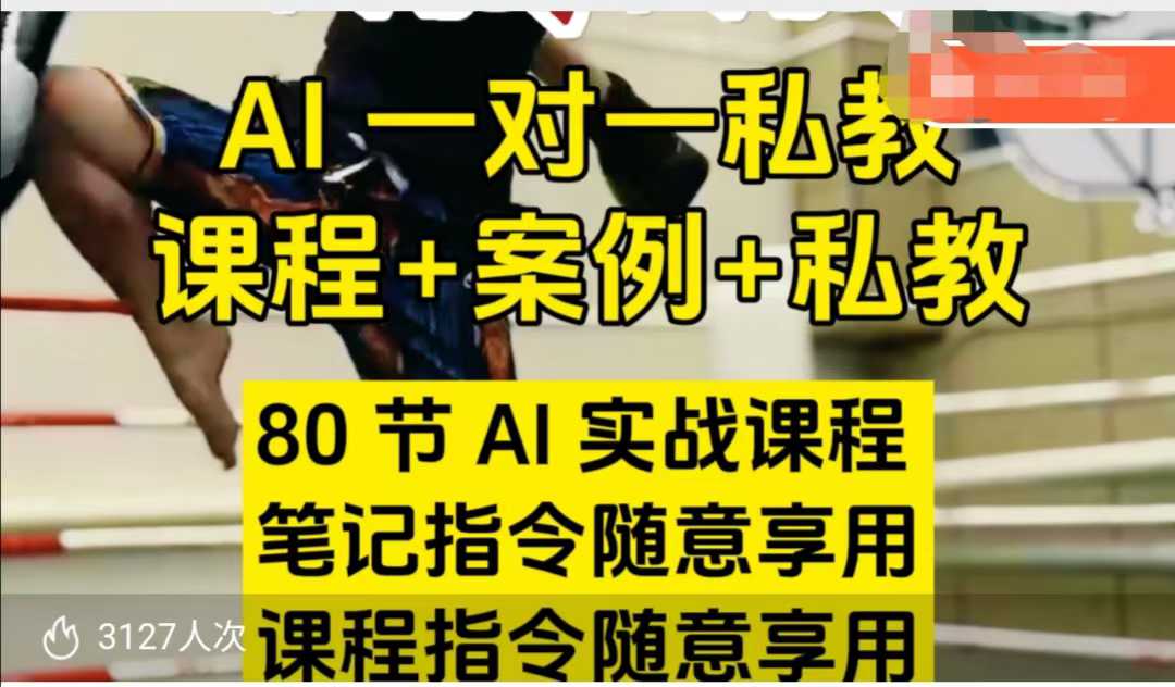 AI指令实战课，课程+案例，80节AI实战课程，笔记指令随意享用，课程指令随意享用(更新7月)-青年网赚