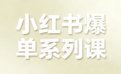 小红书爆单系列课，聚焦小红书电商全链路增长(更新)-青年网赚