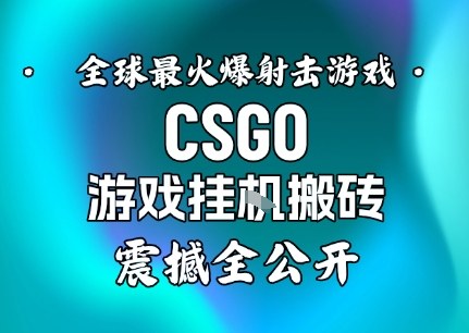 【年底大揭秘】基于全球最火爆的射击CSGO游戏挂G搬砖，日入5张+，震撼公开-青年网赚