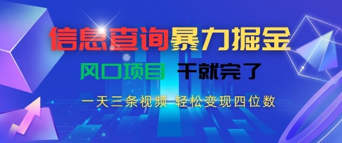 信息查询暴力掘金，一天三条视频，轻松变现四位数，风口项目干就完了【揭秘】-青年网赚