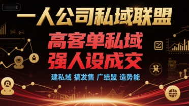 一人公司私域联盟，高客单私域，强人设成交，建私域 搞发售 广结盟 造势能-青年网赚