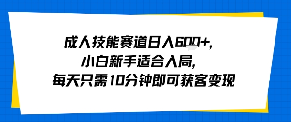 成人技能赛道日入多张，小白新手适合入局，每天只需10分钟即可获客变现-青年网赚