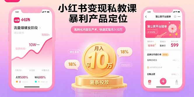 小红书变现私教课，暴利产品定位，高转化内容生产术，快速实现月入10万-青年网赚