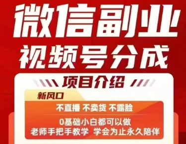微信副业视频号分成，不直播 不卖货 不露脸，三五分钟即可完成一条作，每日收益几十、几张不等-青年网赚