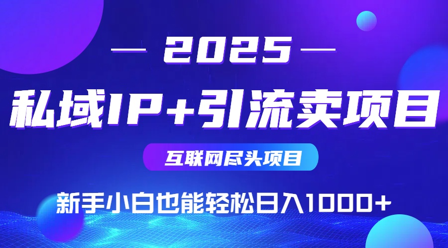 2025网创尽头项目，私域IP+引流，新手小白也能在家日入1000+-青年网赚