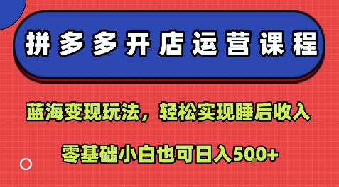 拼多多开店运营课程：蓝海变现玩法，轻松实现睡后收入，零基础小白也可日入5张-青年网赚