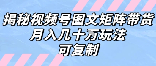 解密视频号图文矩阵带货，月入几个W的打法，可复制-青年网赚