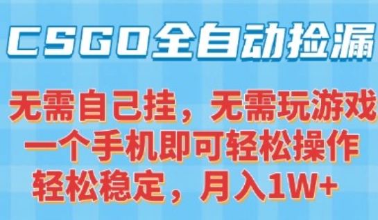 CSGO自动捡漏项目，最新独家玩法，一个手机可操作，新手小白轻松月入1W+，操作简单易上手【揭秘】-青年网赚