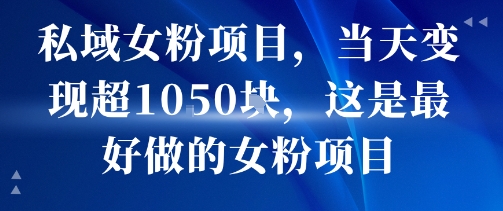 私域女粉项目，当天变现超1k，这是最好做的女粉项目，可放大操作-青年网赚