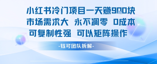 小红书冷门项目一天收益9张，市场需求大，0成本，可复制性强可以矩阵操作-青年网赚