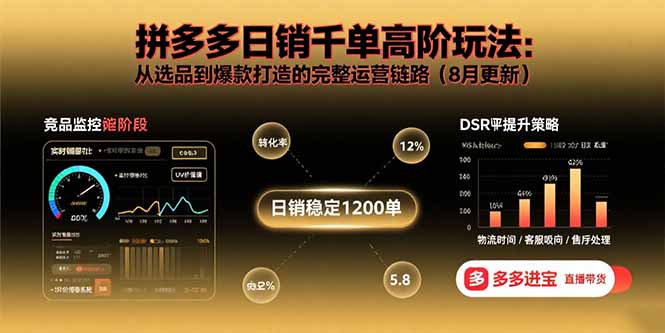 拼多多日销千单高阶玩法：从选品到爆款打造的完整运营链路(8月更新-青年网赚